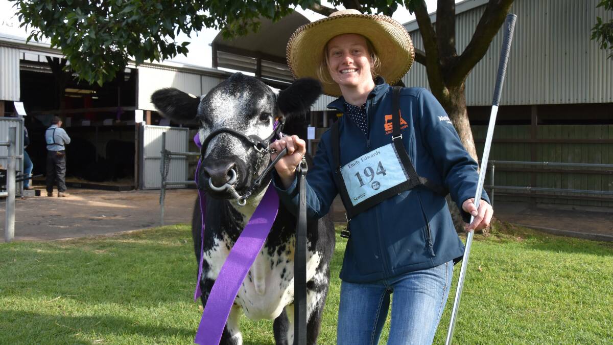 Emily Edwards, Kingston SE, with her heifer Wattle Lee 71H Cora T01 at the 2023 Heifer Expo where she was the reserve senior champion herdsperson.