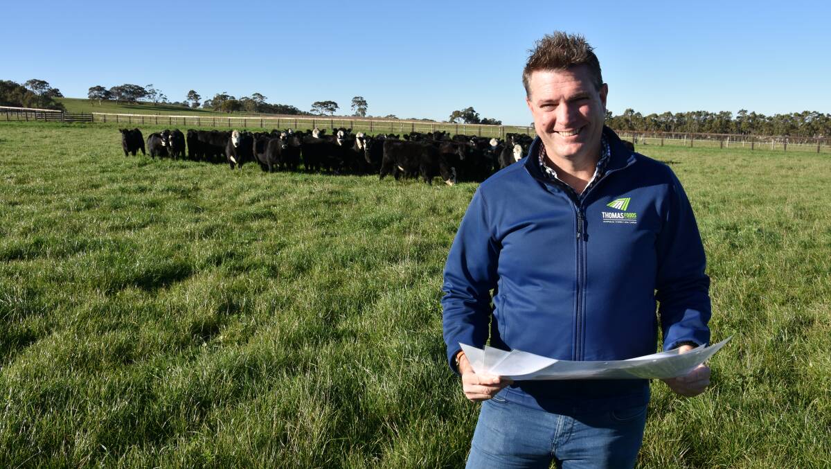 ON TRACK: TFI chief executive Darren Thomas says planning approval is a significant milestone and hopes work on the several-hundred-million dollar abattoir to begin in the second half of the year.