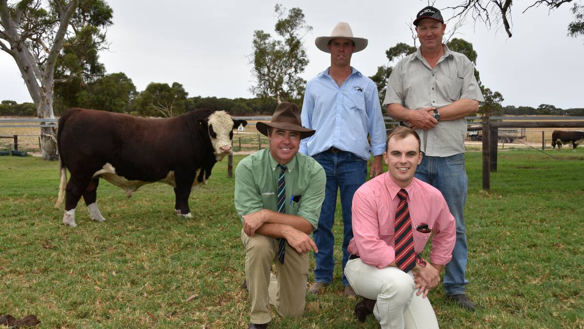 Bendulla stud principal Andrew Bennett and Tim Widdison, Melecca Farms, Pleasant Park, who bought the $8000 top priced bull. They are with Landmark acutioneer Richard Miller and Elders Bordertown's Wade Broadstock.