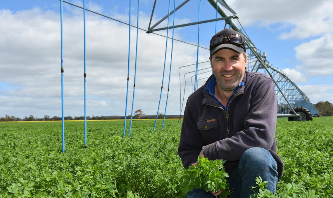 CONSISTENT YIELDS: Joe Cook, Scottswell, Keith, says using soil moisture probes in their irrigated lucerne stands has reduced the variability in their seed yields from year to year.