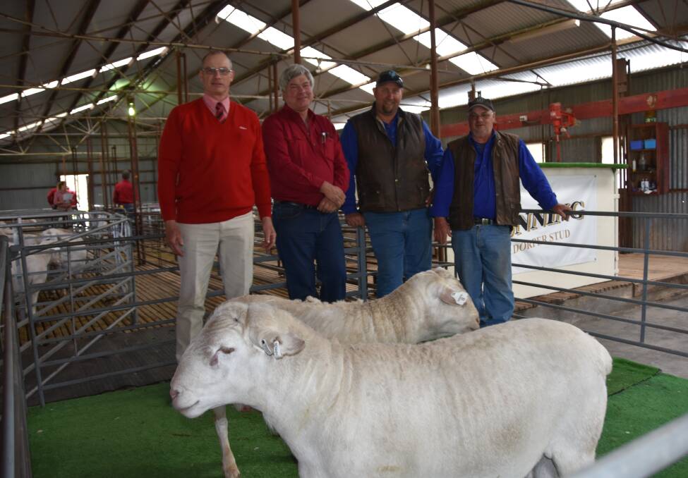 LOCAL BUYER: Elders Naracoorte's Alan Thomson, Nonning stud's Angus McTaggart and Marc Dupree and David Skillen, Old Fairview, Woolumbool, who bought five rams, including the $1000 sale topper.