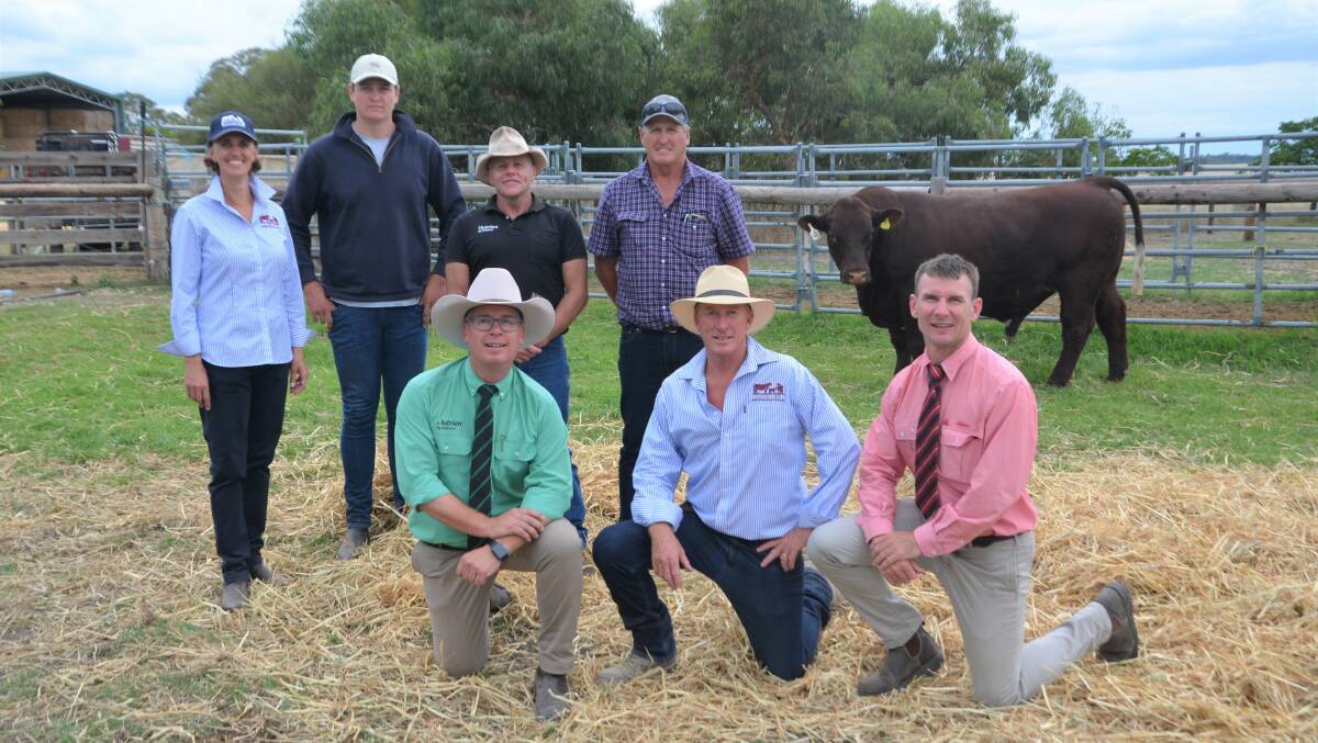 With Bayview's top-price bull, bought by the Gould family, Greenways, are Bayview's Anissa Thompson, Henry Gould, Nutrien Naracoorte's Brendan Fitzgerald, David Gould, and front - Nutrien's Gordon Wood, Bayview's Chris Thompson and Elders Minlaton's Adam Pitt.