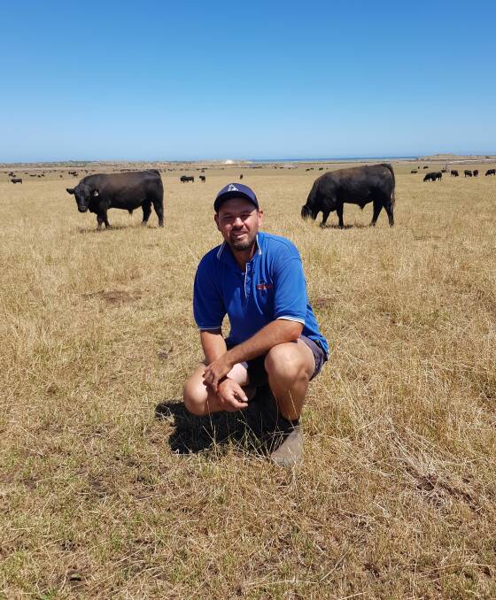 DEBUT SALE: Ravenswood stud principal John Gommers with some of the bulls on offer at their first bull sale during SA Angus Week.
