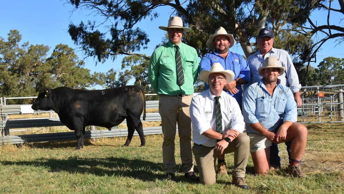 Nutrien's Richard Miller and Gordon Wood (kneeling left), Goolagong stud principal Heath Tiller and South East managerTom Taheny and Sterita Park's Nanni DiGiorgio with the $44,000 sale topper. Picture by Catherine Miller