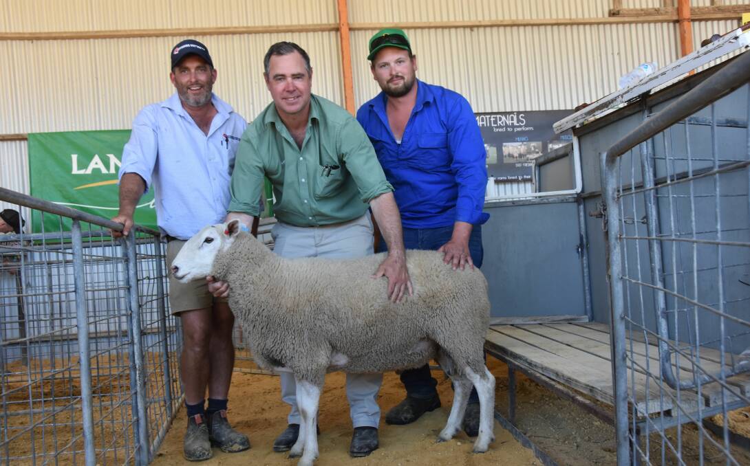 GIPPSLAND BOUND: Southern Australian Livestock's Alistair Haynes and Landmark's Richard Miller with the $1800 top price ram from Jay-Dee's stud with vendor Josh Dowdy.