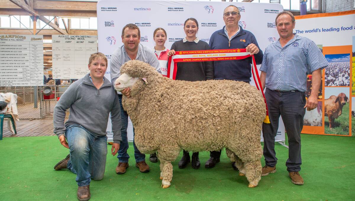 Mulloorie stud's Darcy, Paul, Lara, Lucy and Brett Meyer with their supreme exhibit being sashed by AWI chairman Jock Laurie (second from right). Picture by Jacqui Bateman.