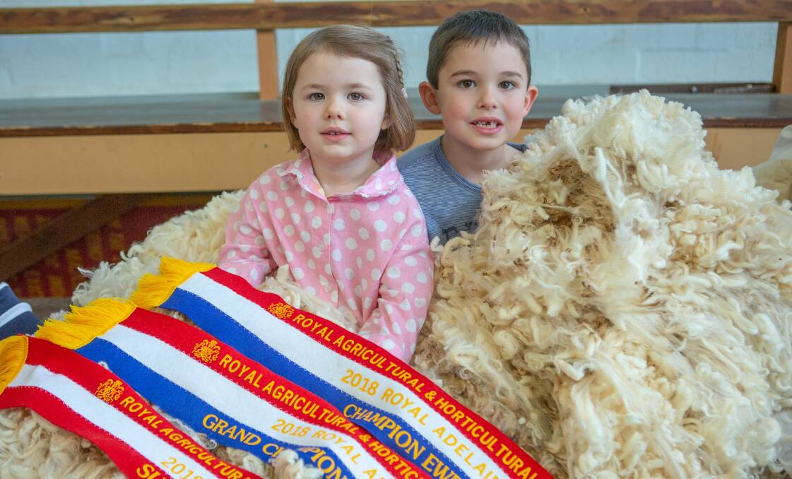 WOOLLY WINNER: Three-year-old Lizzie and six-year-old Henry Sullivan, Greenfields stud, Hallett, with their family's grand champion ewe's fleece which also won supreme fleece. The 21.5 micron fleece scored 88.5 points from a possible 100.