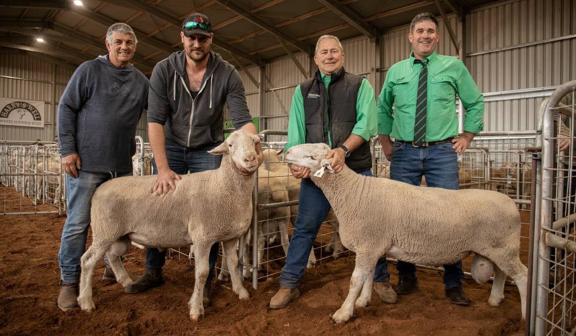 REGULAR SUPPORT: Harry's Well stud's Kenton Farr, top price buyer Brian Hampel, Nadda,and Golding Livestock Agencies' Curly Golding and Matt Lewis, Loxton with the lot 6 and lot 10 rams which each made $3400.
