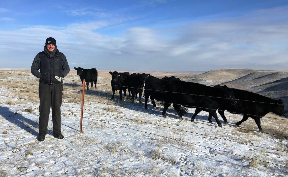 James Pitchford with heifers at Stevensons Angus Ranch, Montana.