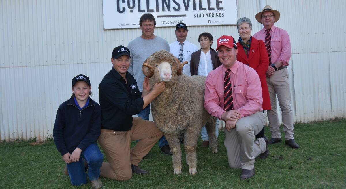 Collinsville stud's Harry and Tim Dalla hold the $70,000 sale topper with buyer Reg Parker, Pingelly, WA, Collinsville's George Millington, Nita Parker, Lynne Parker, Elders state manager Bernard Seal and Elders stud stock's Alistair Keller.