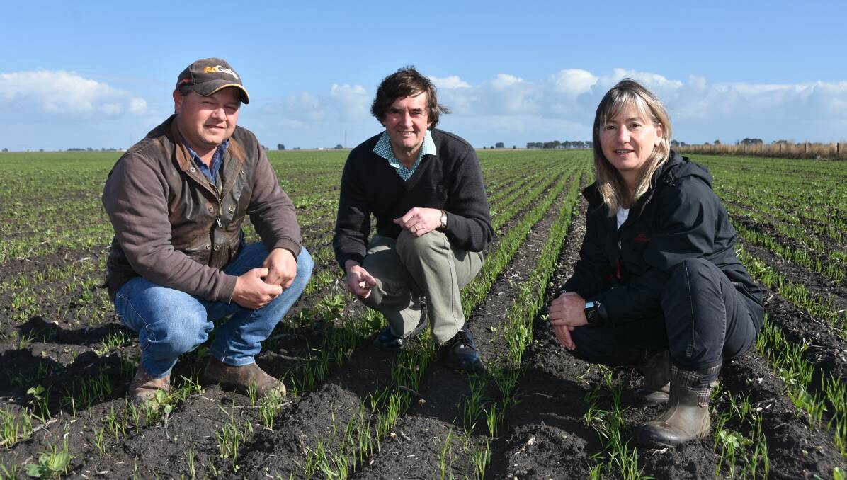 SE SITE: Bool Lagoon cropper Bruce McLean with Ag Vic soils scientists Malcolm McCaskill and Penny Riffkin, both based at Hamilton, Vic.