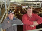 Andrew Bennett, Bendulla, Mundulla, (pictured with his agent Elders Bordertown branch manager Brenton Henriks) sold 61 yearling steers at the Naracoorte store cattle sale to a $2010 high, averaging $1957.