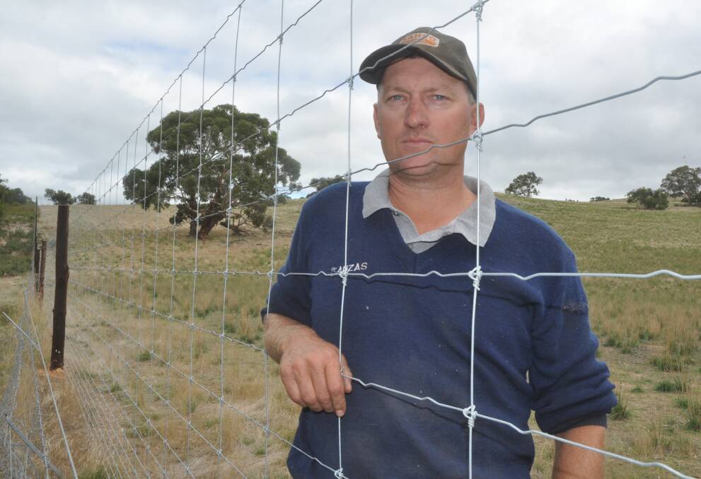 PASTURE PROTECTION: Keilira farmer David Rasheed, Boolapuckee, put up 4.5 kilometres of deer-proof fence last year to protect his lucerne pastures.  He says the onus should be on those keeping deer to fence the animals in.