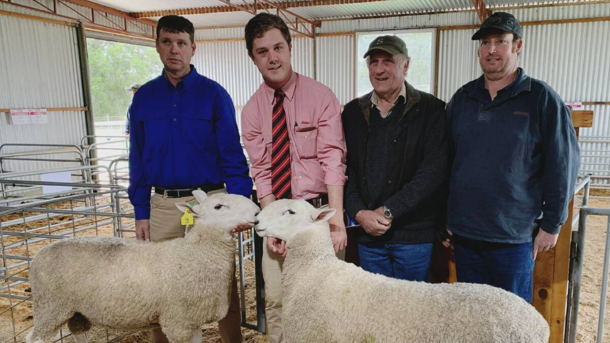 SAMBELL DUO: Cloverlea principal Jim Mutton and Elders auctioneer Josh Reeves, with top price buyers Kym Sambell and Travis Langford, trading as GK&LE Sambell, Benayeo, Vic, who bought both $2400 rams.