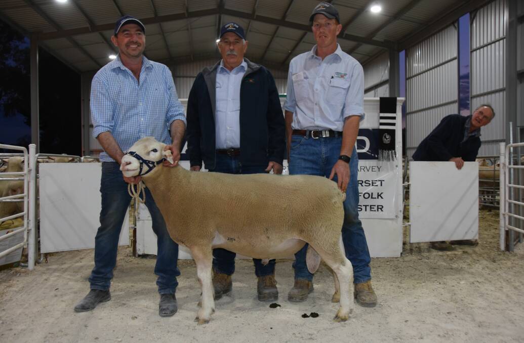 TOP WHITE: Paxton stud's Martin Harvey holds the $2000 ram with PPH&S's Robin Steen and Ray Jaensch.