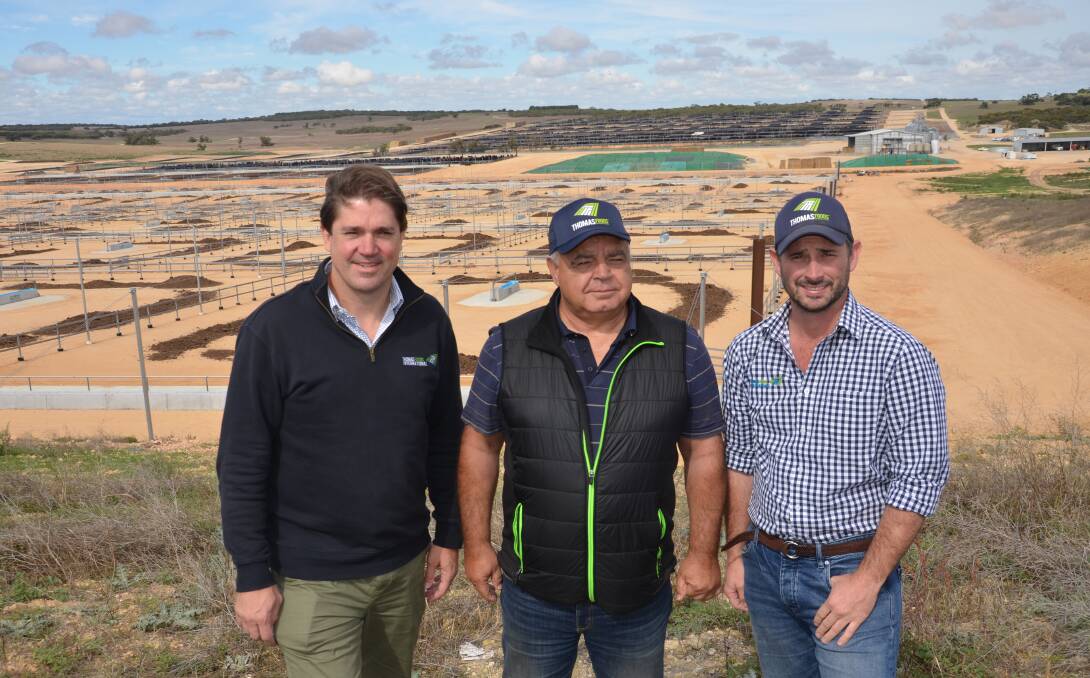 TFI manager of investment and strategy Tom Davies, beef manager Petar Bond and feedlot general manager Tom Green at Southern Cross feedlot at Tintinara which has doubled in capacity from 15,000 to being able to feed up to 30,000 head. Pictures by Catherine Miller