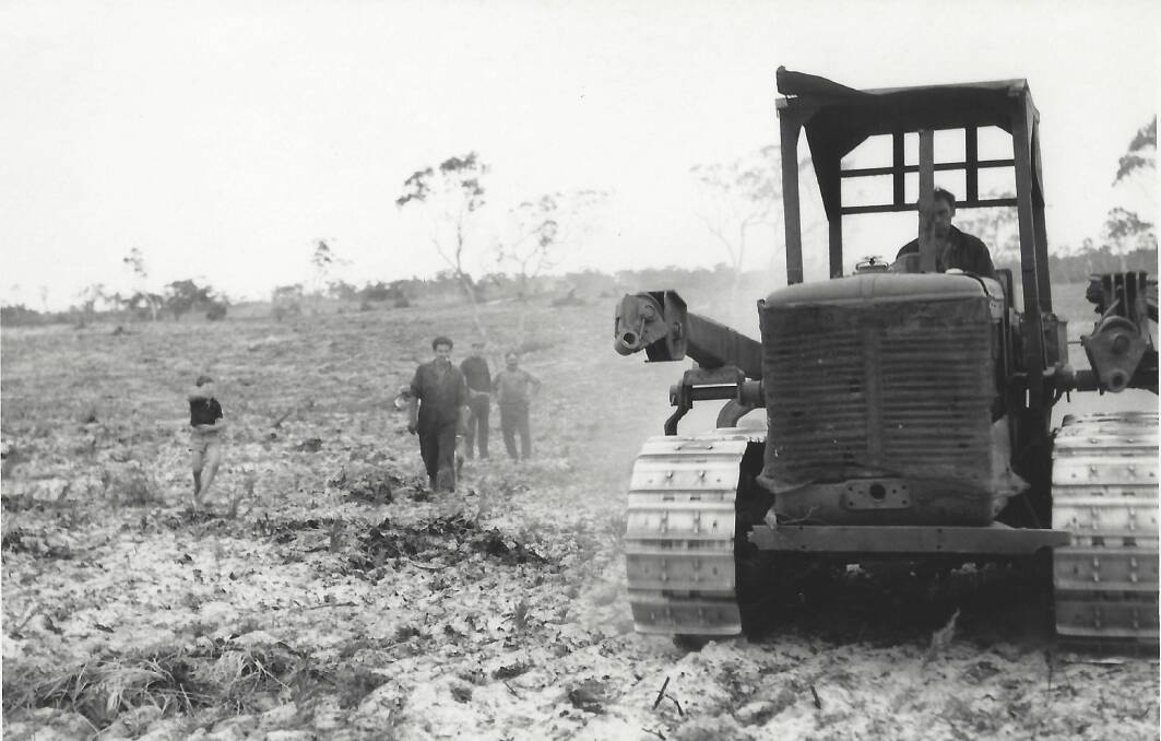 HARD YAKKA: Steve DiGiorgio on a bulldozer clearing land during the 1950s.

