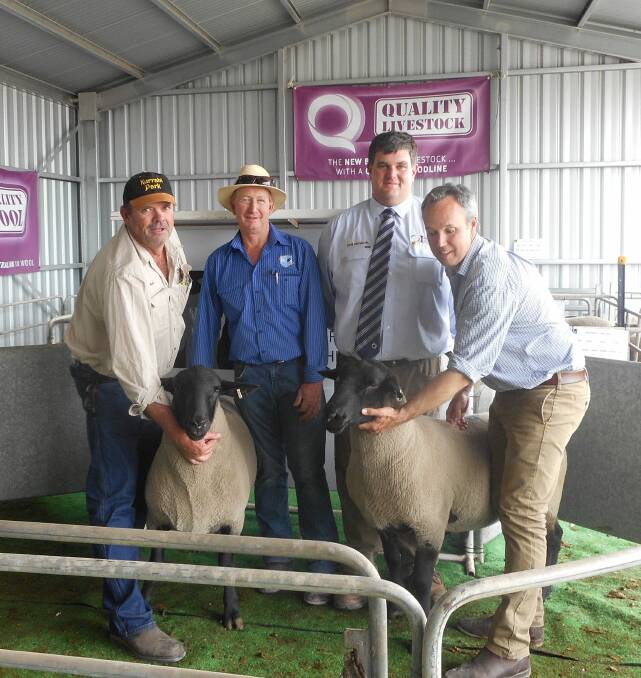 QUALITY DUO: Buyers of the $2000 equal top price rams, Mark Dennis and Peter Button, with Quality Livestock's David Whittenbury and Telpara's Anthony Pearce.