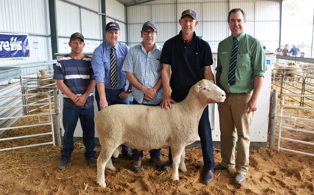 STUD BUY: Bryce and Grant Hausler (holding the $5000 top price ram) with Rodwells David Hanel, buyer Haydn Lines, Benealla stud, Keith, and Landmark auctioneer Richard Miller. The lot 3 ram weighed 139 kilograms and had the equal highest eye muscle depth at 47 millimetres.