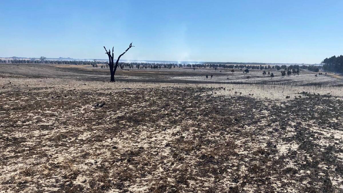 AFTERMATH: About 1000 hectares of Boonderoo Pastoral Company's Elad property was burnt in the Coles fire. They lost valuable livestock feed and boundary fences but are grateful there were no livestock losses.