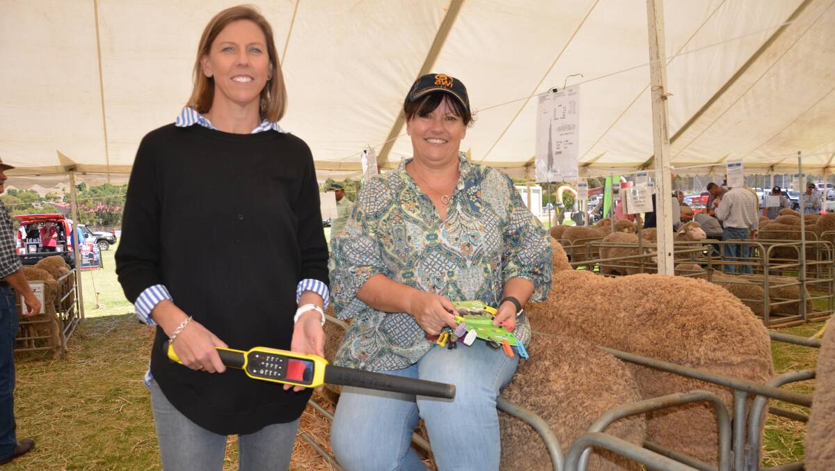 Cousins Merino Services' Kimberley Mitchell and Michelle Cousins say there has been a significant lift in the adoption of eID among commercial producers in the past couple of years. Picture by Catherine Miller