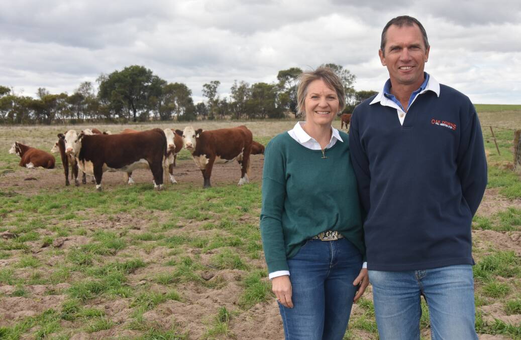 Vanessa and Andrew Schwarz, Oak Downs stud, Bordertown, with some of the cows which are being offered for sale after selling their property. Picture by Catherine Miller