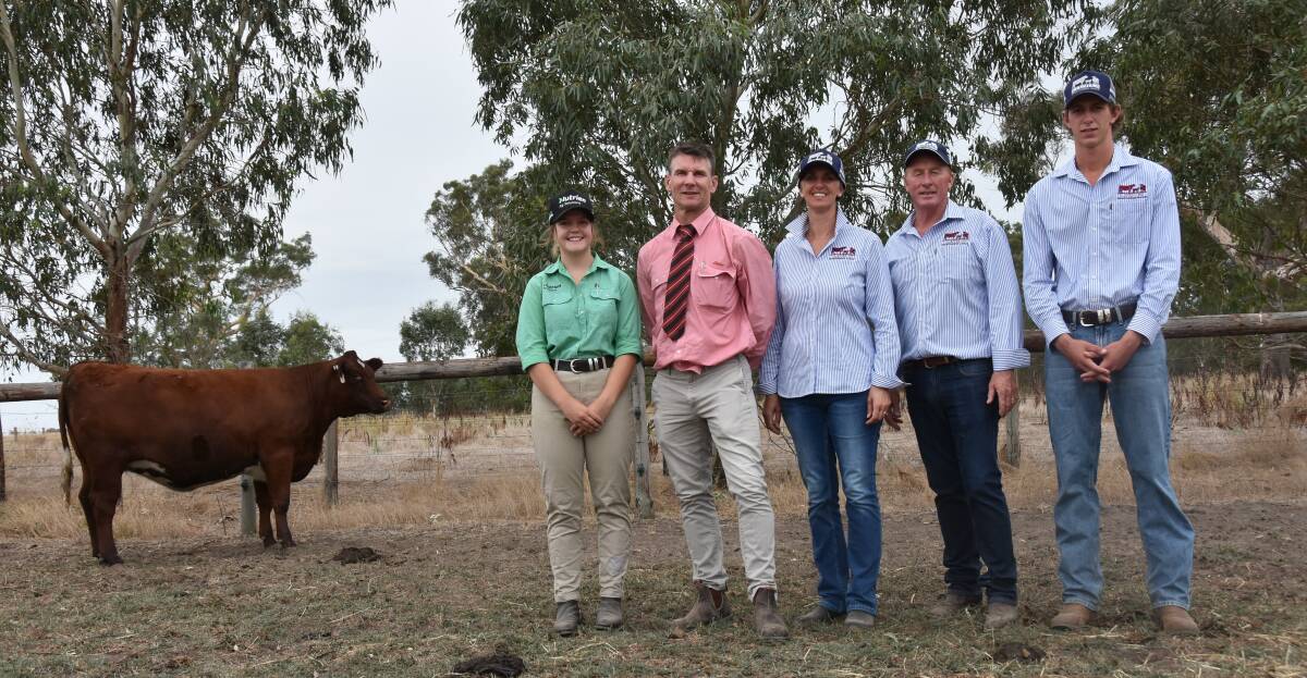 Lot 1, Bayview Beverley T7, was the top priced heifer selling for $10,000. Pictured are Nutrien Naracoorte's Ella Littlejohn, Elders' Adam Pitt and Bayview stud's Anissa, Chris and Luke Thompson.