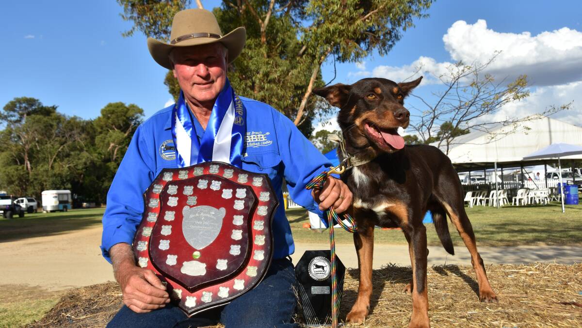 Wayne Gelven, Tintinara, was thrilled to win his first Coprice SA Yard Dog Championship with his kelpie Yanven Kenny. Picture by Catherine Miller