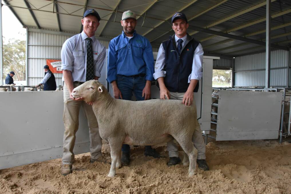 FEDER FIND: Spence Dix & Co's Simon Lehmann, Netley Park stud principal Michael King and Marty Smith, Spence Dix & Co, with the $2700 top priced Poll Dorset ram. It sold to repeat buyer John Feder, Lillimur, Vic.