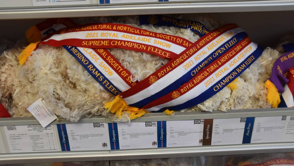 The supreme chmapion fleece and grand champion Merino ram's fleece in the cabinet in the Adelaide Show's stud sheep pavilion.