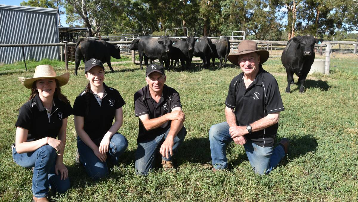 Tess, Lucy, Gavin and Ian Newman, Newlyn Park stud, Meadows, with some of their Angus bulls for their inaugural auction on February 12.
