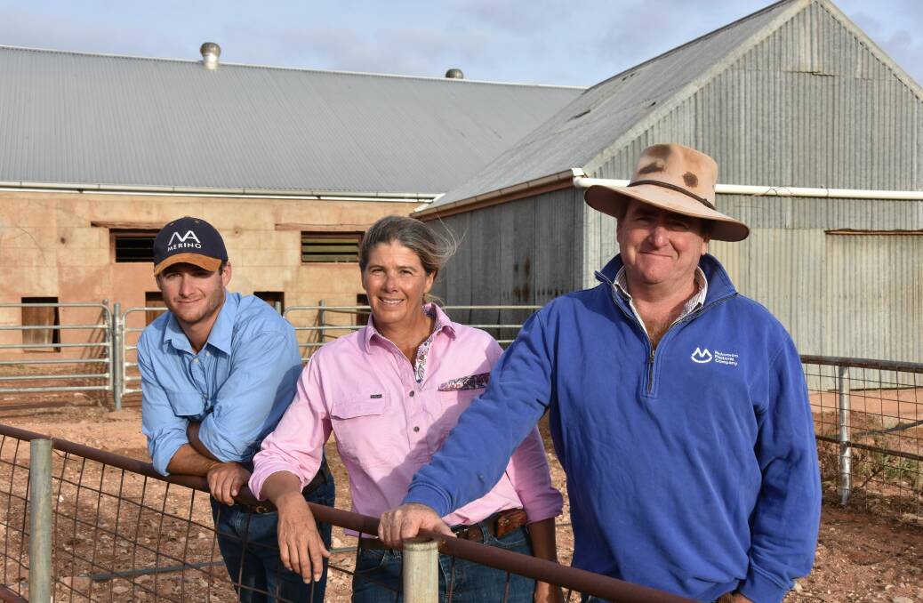 Ed, Alex and James Morgan are fully committed to the sheep and wool industry and optimistic about the future.