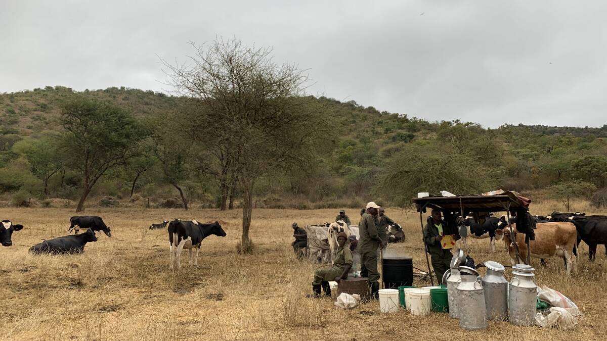A dairy in Kenya that Ellen Litchfield visited during her Nuffield study.