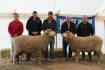 Strong competition ensures $2469 average at White River ram sale