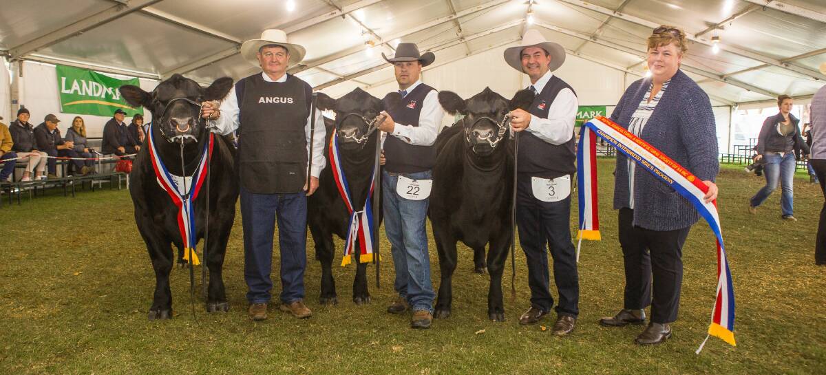 CONSISTENT CATTLE: Greg Fuller, Ryan Morris and Phil McLauchlan with the interbreed sire's progeny group-winning Pine Creek trio being sashed by sponsor Rebecca Brooks, Bukartilla Beef, Kuitpo.