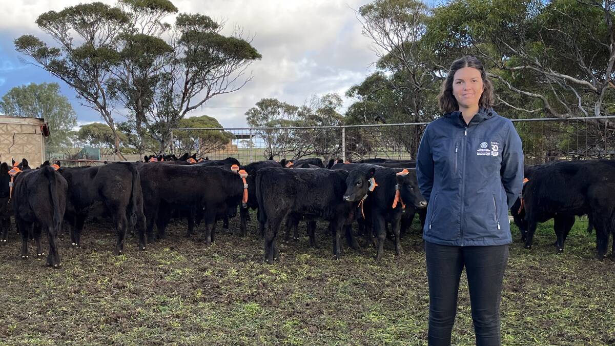 SARDI senior research officer Megan Willis says a trial at Struan will focus on measuring animal welfare while the virtual fencing technology is in use.