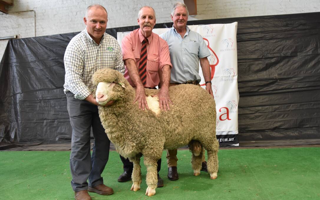 NSW BOUND: Glenlea Park's Peter Wallis, Elders' Tom Penna and classer Andrew Calvert with the $46,000 ram.