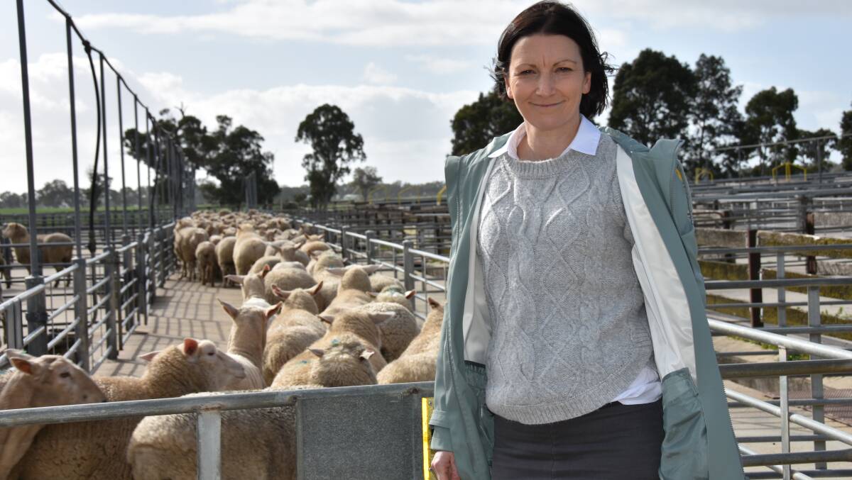 FUNDING CALL: Earlier this week Opposition ag spokesperson Nicola Centofanti visited the Naracoorte Regional Livestock Exchange. She supports a national plan for eID in sheep but says it should not be at producers' expense.