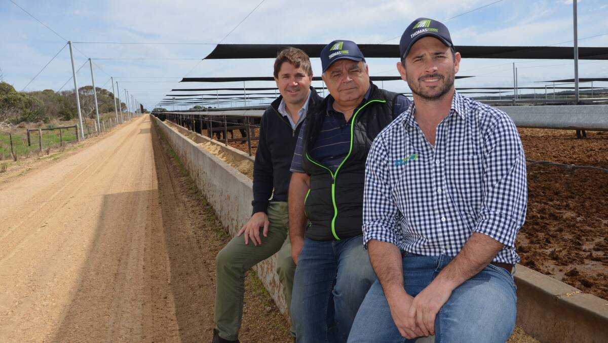 TFI manager of investment and strategy Tom Davies, beef manager Petar Bond and feedlot general manager Tom Green at one of the bunks in the feedlot.