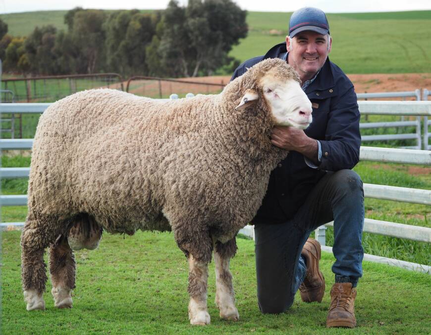 STAND OUT SALE: Hamilton Run stud principal Greg Andrews with the young stud reserve that sold for $20,000 to Avonmore Merinos, Elmore, Vic.