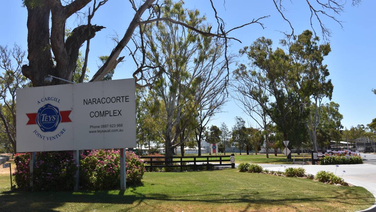 A COVID rapid response team was sent to Teys Naracoorte abattoir to test its workforce after more than 100 of its workers fell ill.