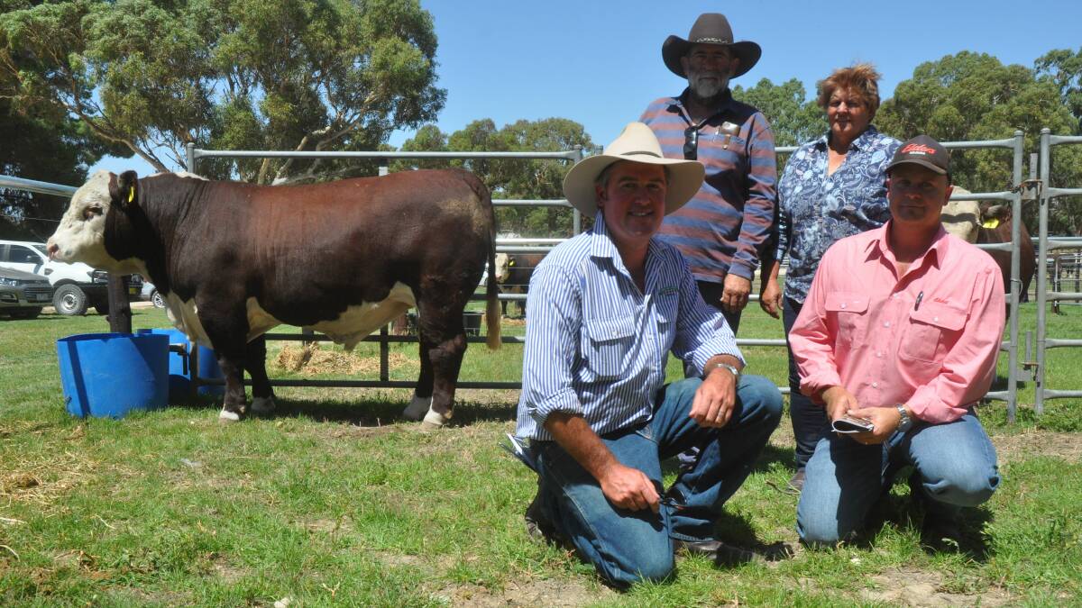 NSW BOUND: Johnno and Cheryl Johnson, Glen Ora Station via Ivanhoe, NSW paid the $13,000 equal top price for a Kerlson Pines bull. They are with Kerlson Pines stud principal Mark Wilson and Elders Mildura's Kelvin Fitzgerald.