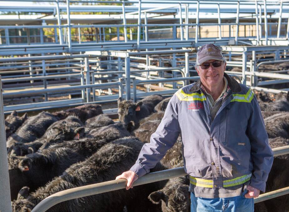 AGENTS ALLOWED: Denis Manhood, Millicent, bought 36 Angus steers from Kumara SE, Kalangadoo, for $1400 or $4.23 a kilogram at last month's Mount Gambier store sale.