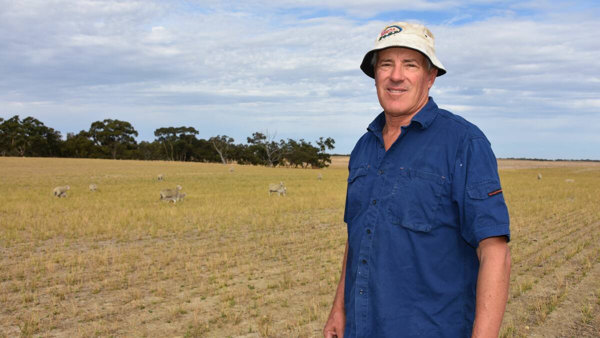 ON-FARM ALTERNATIVES : Rodney Bartlett, Tolcairn, Sherwood, is excited about the results from the Seed Free Lamb project.