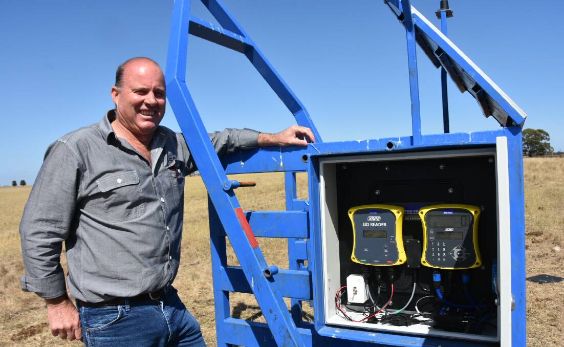 EXCITING INNOVATION: Thomas Elder Consulting's Bruce Creek with an Optiweigh crate - the first piece of agtech equipment to be trialled at Struan Research Centre.