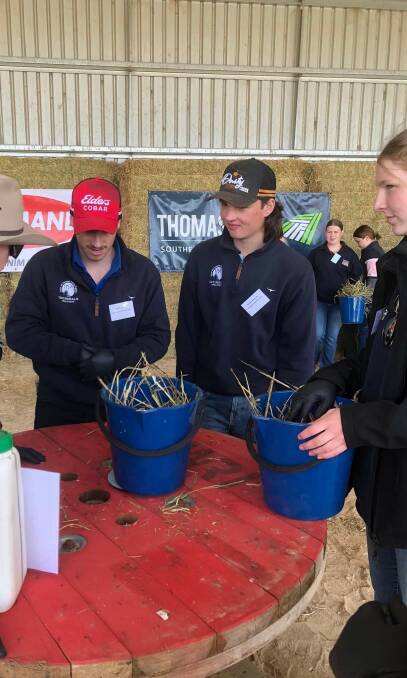 A few of the students mixing their own feed rations during Thomas Foods' Southern Cross feedlot tour. Pictures supplied