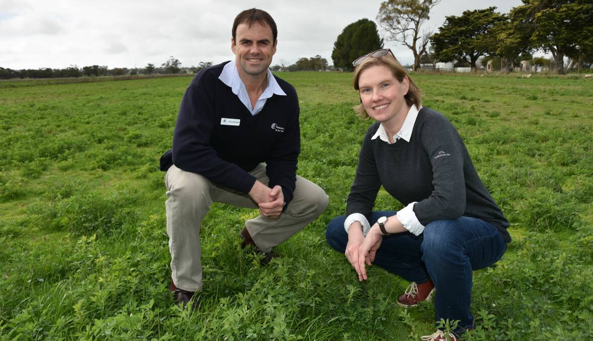 PROTECTION PROJECT: Lucerne Australia chairman Josh Rasheed with NSW DPI researcher Ainsley Seago, who has just completed a project aiming to find ways to reduce the impact of lucerne seed wasp.