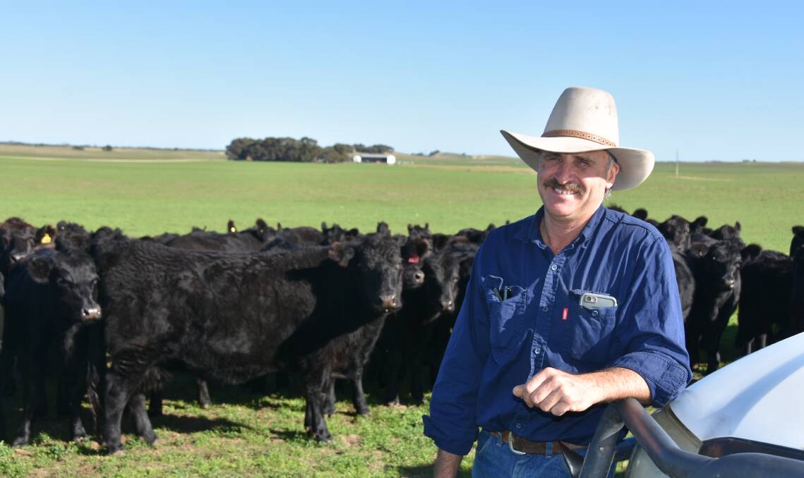 BEEF BONUS: Rob Cornish, Colebatch, says TFI's rebuild will put much-needed competition back into the SA cattle market but also reduce freight costs for many.