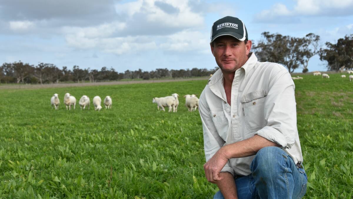 JOINT VENTURE: Anthony Hurst, Seriston stud, Avenue Range, has begun breeding Australian Whites in a joint venture with NSW stud Baringa.