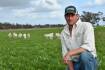 Local Australian Whites on offer at SA first sale
